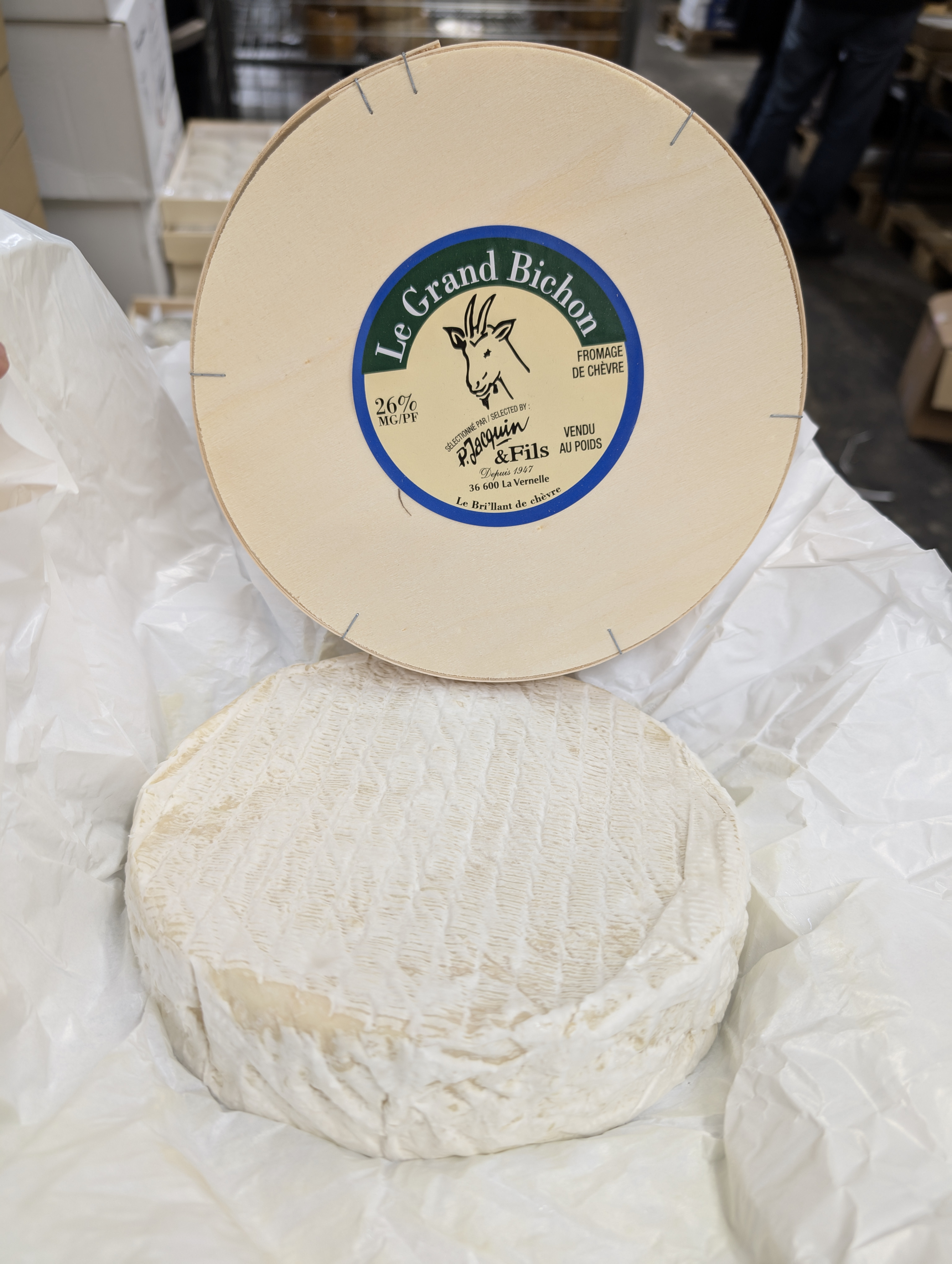 BRILLANT CHEVRE